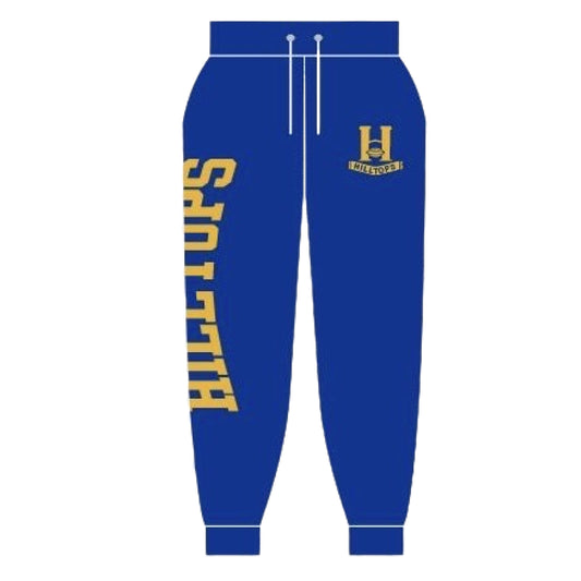 HT24 - Fleece Joggers - Royal