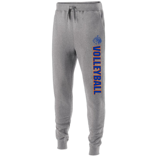 TDVB24 - Champion Fleece Joggers - Light Steel